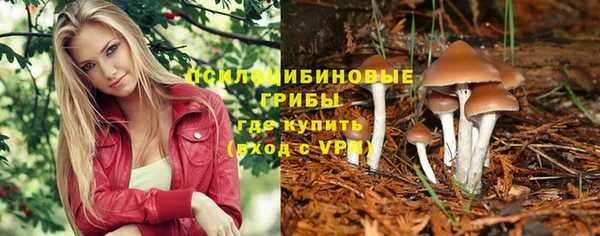 гашиш Бородино