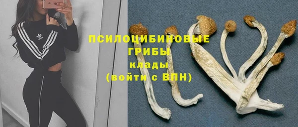 apvp Богданович